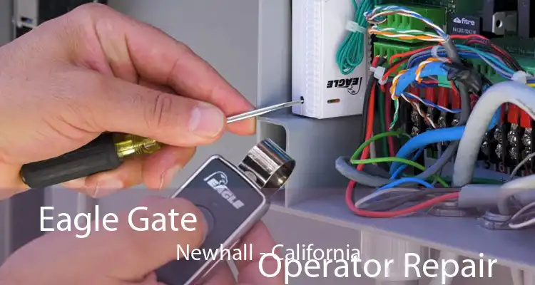 Eagle Gate
                            Operator Repair Newhall - California