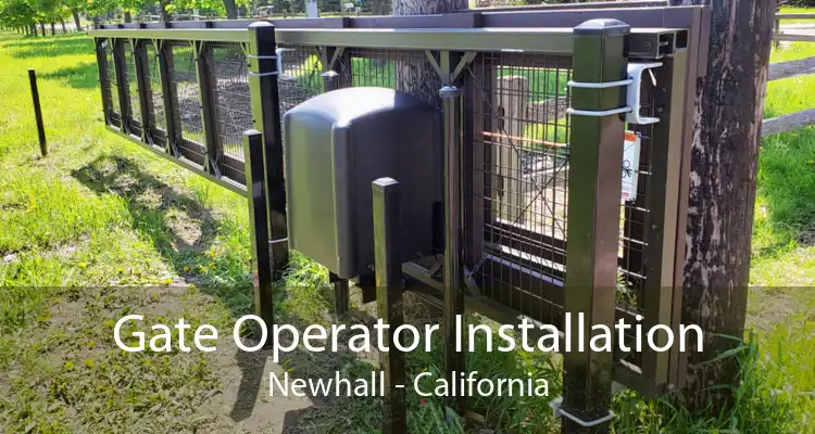 Gate Operator Installation Newhall - California