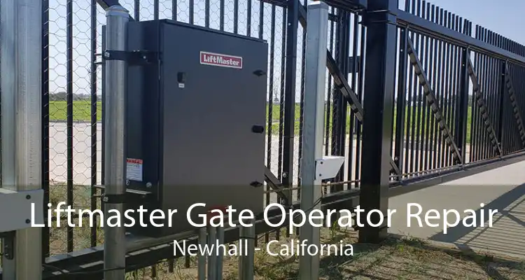 Liftmaster Gate Operator Repair Newhall - California