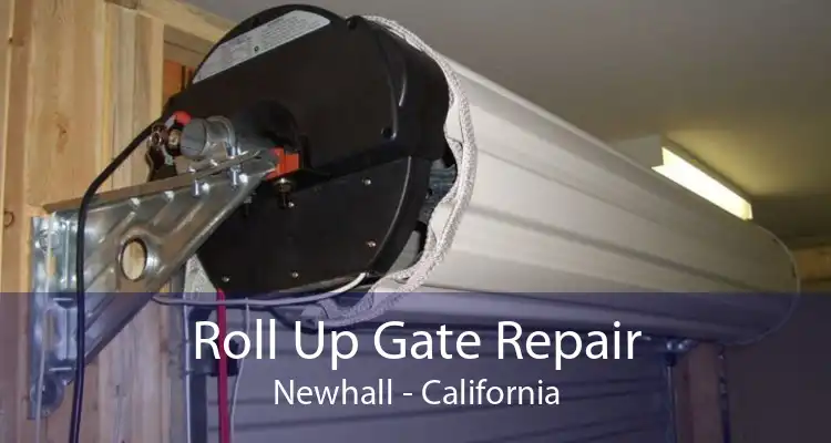 Roll Up Gate Repair Newhall - California